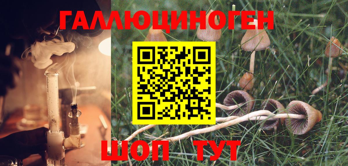 Псилоцибиновые грибы MAGIC MUSHROOMS Альметьевск